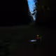 88837150709499798352031986971363165703044907958800399059978422683140970512385