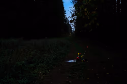 Item #88837150709499798352031986971363165703044907958800399059978422683140970512385 Media