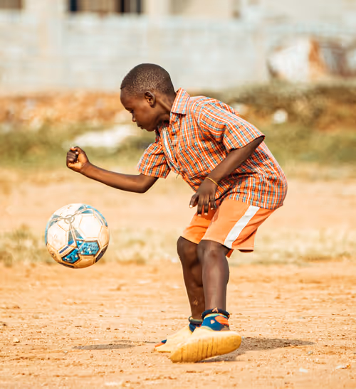 Item #69785723640001619757607758750255893339862372780250443418750514863099820900353 Media