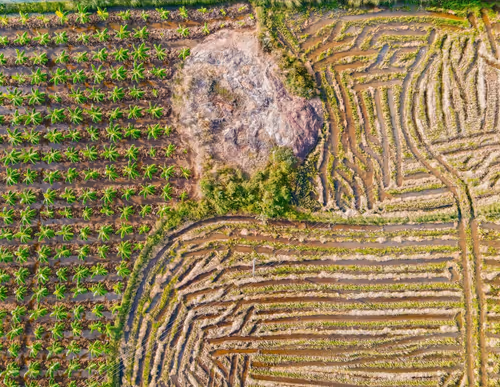 Item #67686649945813211142348116383551297901422610875826896463266851527644766273537 Media