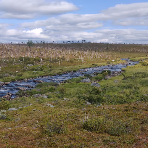 Wilderness of Finland