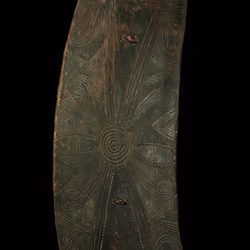 'War Shield1'- Wood, Palm fibre, Blackened patina - Physical NFT