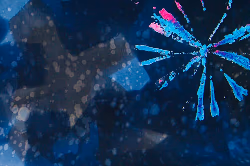 Item #23953230745994406582939997092897091351371610828269103110916008740433843716097 Media