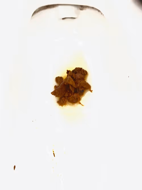 Item #66867190658184998847730636511581546950278039896866290194050495670799994716161 Media