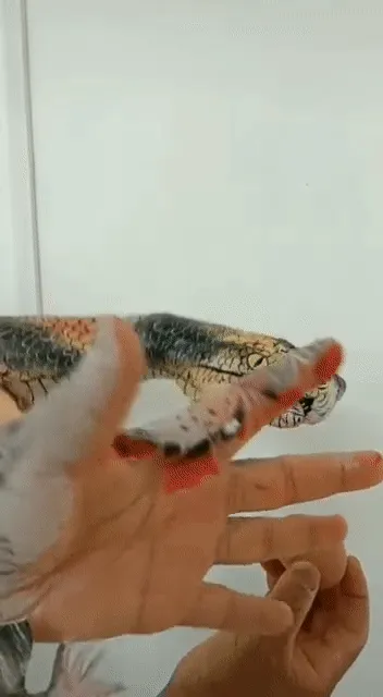 Item #98297886293652092657371597788592247398680073041274723207675994047719539736577 Media