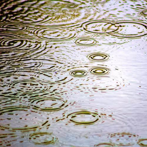 Item #110563264937173630415102547684714144673786021135482478862181301897708766756865 Media