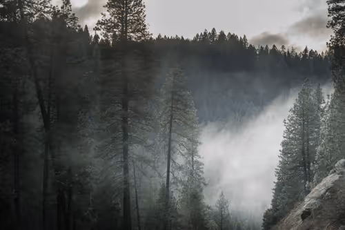 Item #31788909356613404137048829070137069187400346678612286943977180909249985773569 Media