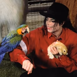 Michael Jackson Arm Parrot & Bonus Bunny #7