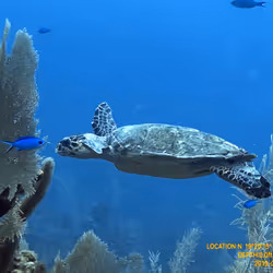 80965803268169370603932631570667161375508893671094224909166964025957365579777