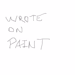 Wrote on Paint
