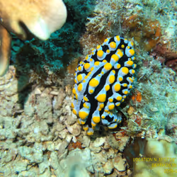 80965803268169370603932631570667161375508893671094224909166964057843202785281