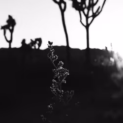 43855545179559374949578343538533146521052449225092810466716167737549191643137