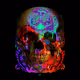 Secades Skulls