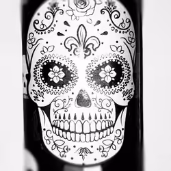 #The Skulls #2