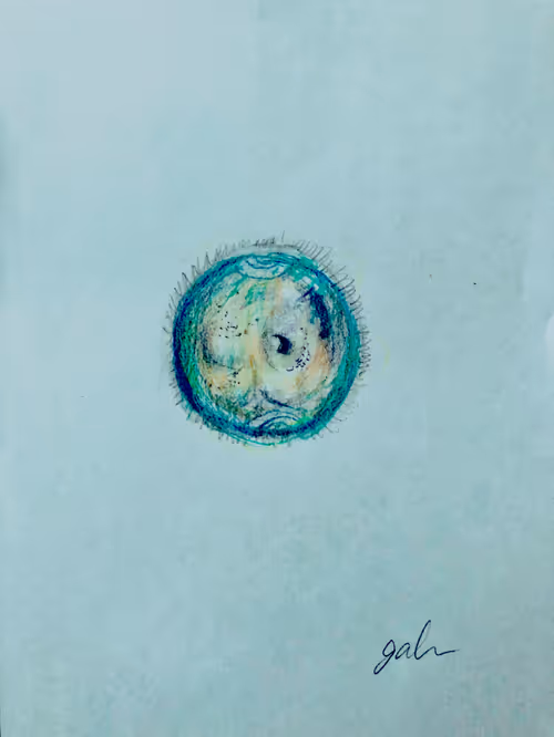 Item #37044860932901534189017535807041573060097593019303084193156804934513966710785 Media