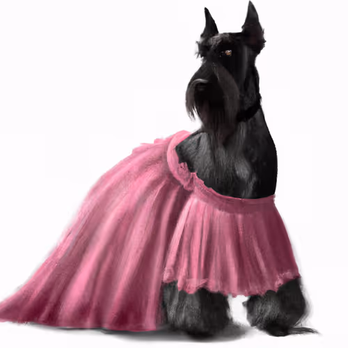 Item #79891057139104848676536386170077943689803640495119601378141546548613710086145 Media