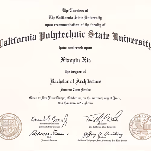 Untitled Collection #81306908