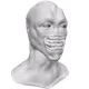 19169138387814070904981978378907983730560726644621872308814135183725058588673