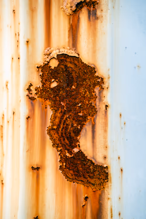 Item #70132214025601092010236525287095683106987721429802971384473277230561401765889 Media