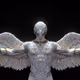 Heaven`s Army