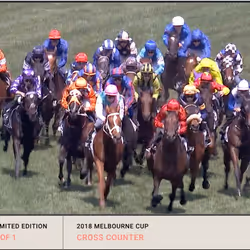 2018 Lexus Melbourne Cup - Cross Counter