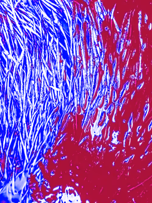 Item #98843954857266856101330559780238873570552098425130206222908041968176775299073 Media