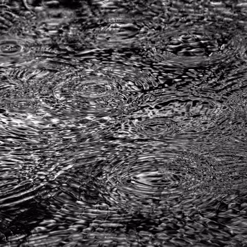 Item #110563264937173630415102547684714144673786021135482478862181301895509743501313 Media