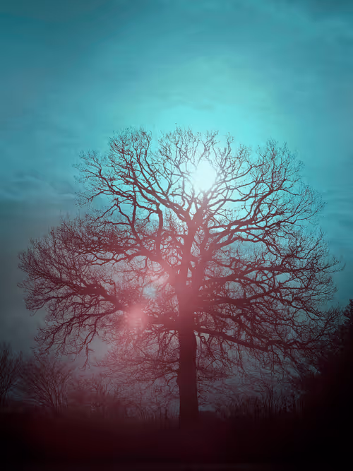 Item #105424874580272350249353180101820695324338341917620358577696675017933168050177 Media