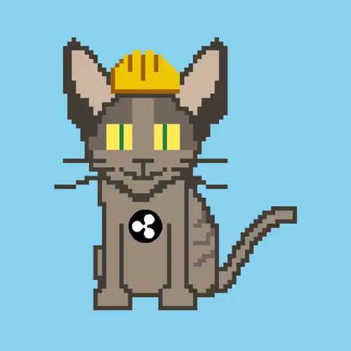 Cryptorobocat Wtm9GNHTED