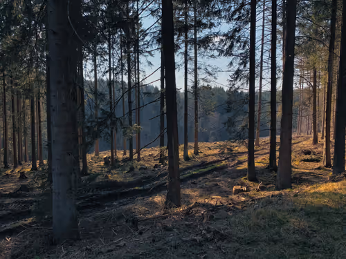 Item #105824048542883402372439637698233055099864619322085015812038144096767173459969 Media