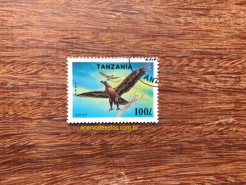 Item #20597586626667959385800891861414849022288511145256085744500515466011993964545 Media