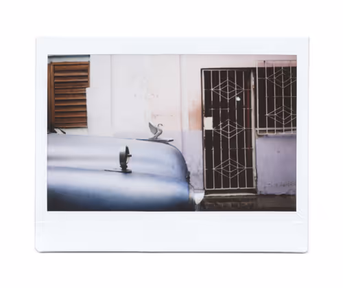 Item #95628935579047862294888083710267829534789365889549982947545054406458430455809 Media