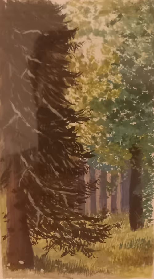 Item #85412142657427173727656337466147584163818228061505679261078951824960037847041 Media