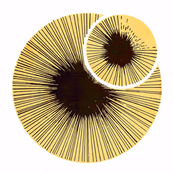 54688137389352509344092767467911615879738143210533731435142059658846371053569