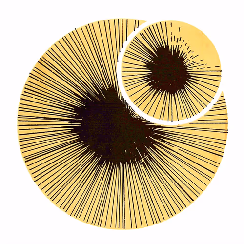 54688137389352509344092767467911615879738143210533731435142059658846371053569