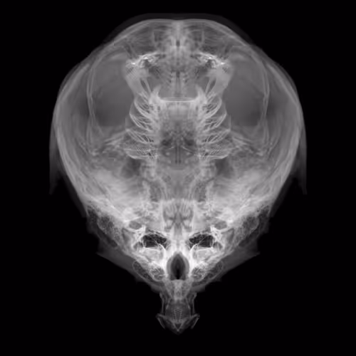 Item #85859191866638808365331437874953228966785819470149775310971063256018807947265 Media