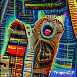 #nofilter