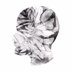 HEAD-PRINTED#1