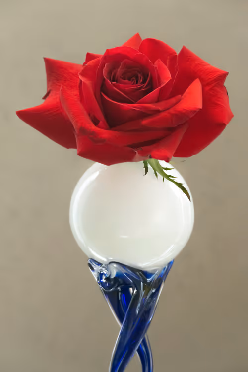 Item #89907656702044614453321074325488619524252991044225286845467716160761385451521 Media