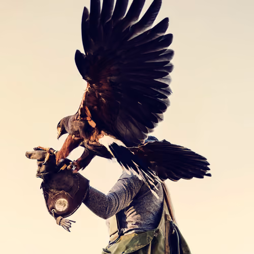 The Anticipation of Flight