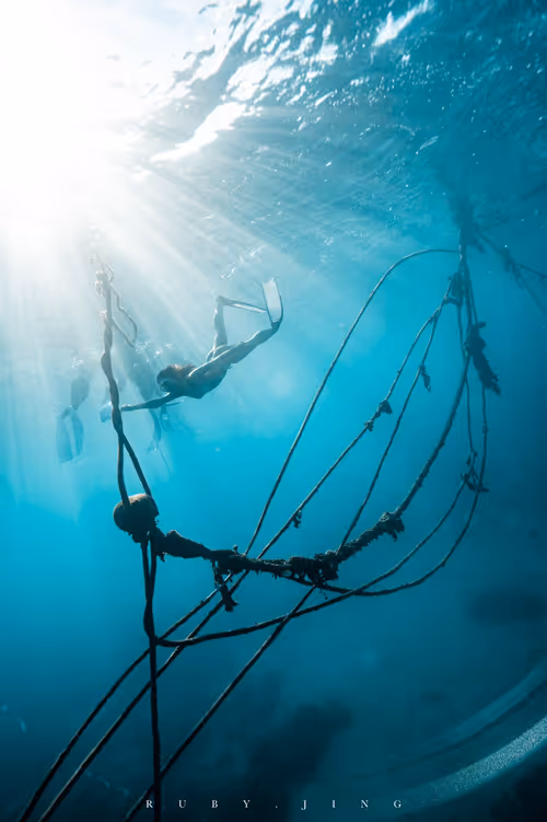 Item #75775185799272849085271004632709043340311400921657001030137476906150768148481 Media