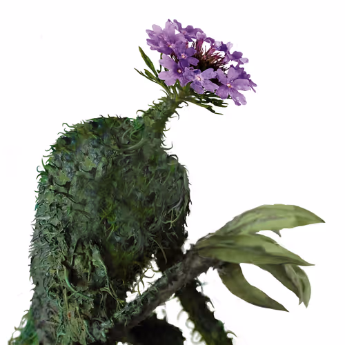 69263692734302161044241320265110333107332673808638480991274558716292381016065