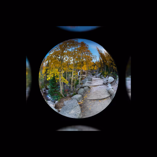 Item #79686203152266121205828546412768747046883568700953071774842845414842957824001 Media