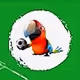 27303849716306789948327755583178439872531528133948944823644530022466992473064