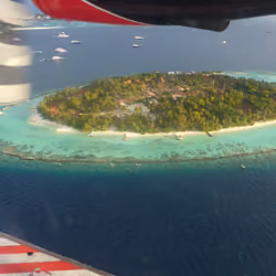 Maledives #44