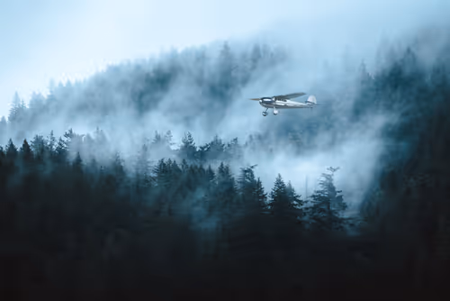 Item #36176467897380328031202598429457244897773956397041949231914939969141544583169 Media