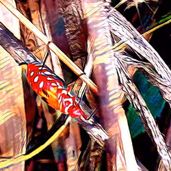 81269833061274051173789884418282317830923519221172308843662164497763747758081