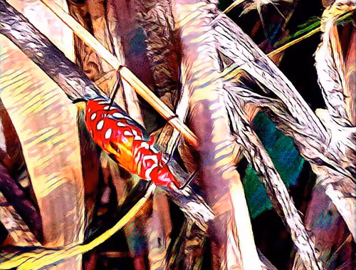 Item #81269833061274051173789884418282317830923519221172308843662164497763747758081 Media