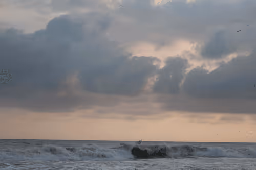 Item #36486330599558234192948007262260679931493432277950452627377023255297050804225 Media