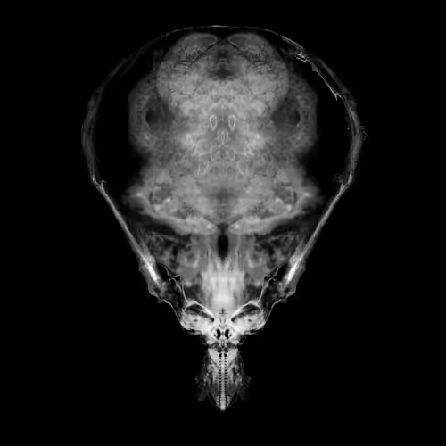 Alien Embryos